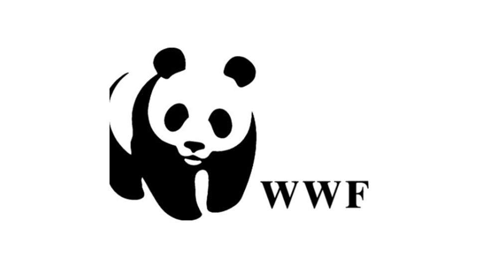 wwf-ellas-thumb-large-thumb-large.jpg