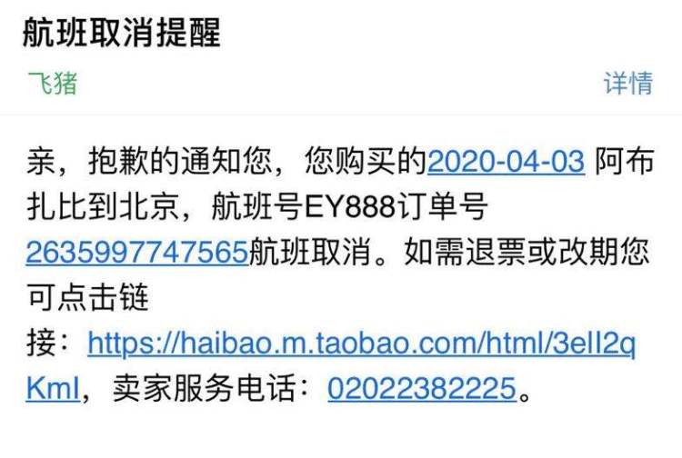 3个检疫标签、4张健康申报表、6次体温测试和17小时中转：海外留学生的“流浪地球”