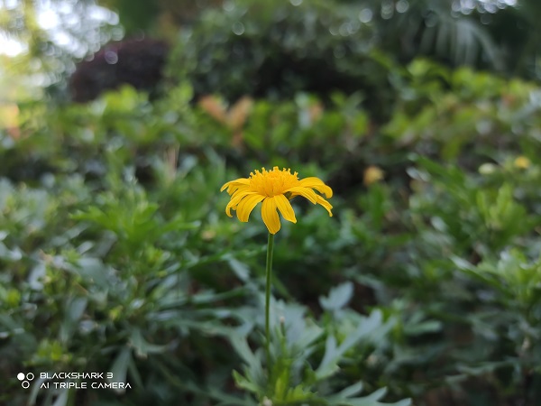 image033.jpg