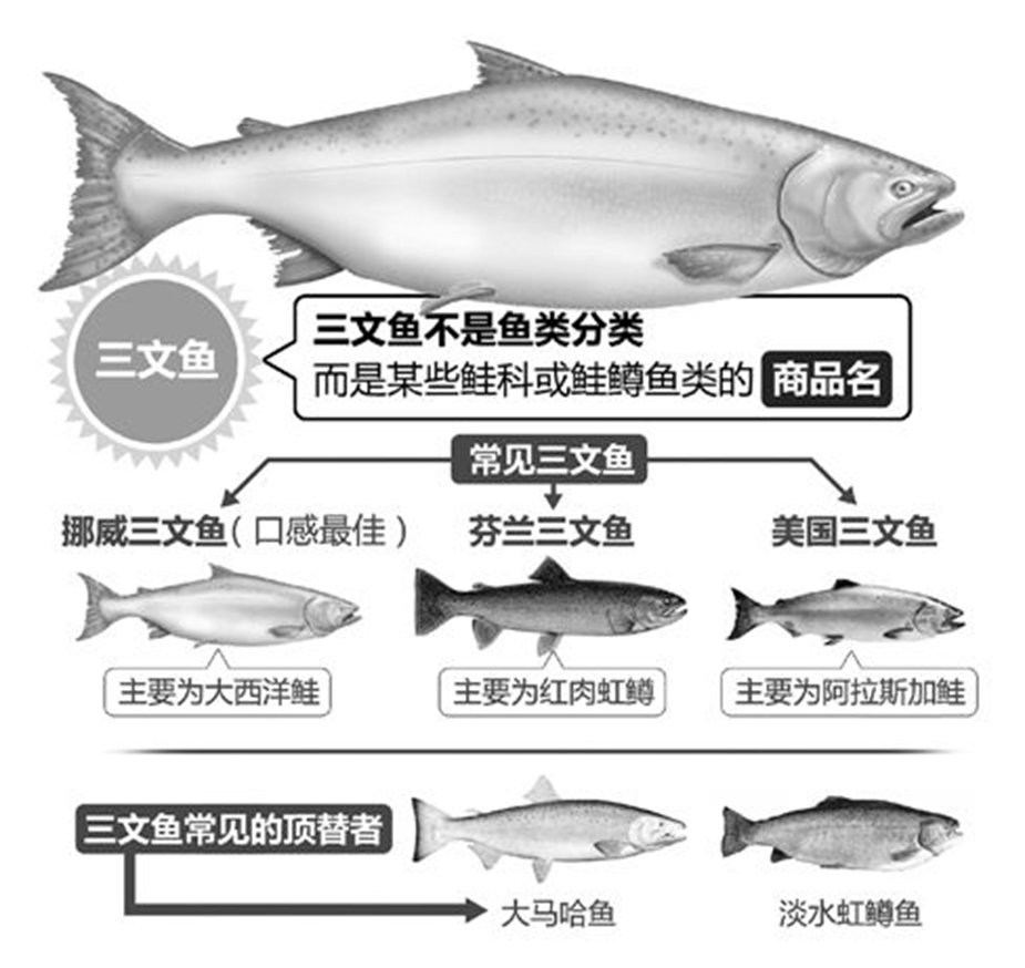 一块三文鱼案板引发的供应链血案